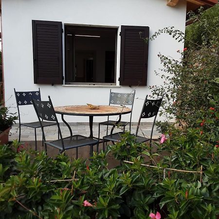 Agriturismomillefiori Manciano Exteriér fotografie